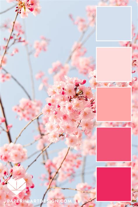 View 26 Hot Pink Color Palette - artquietly