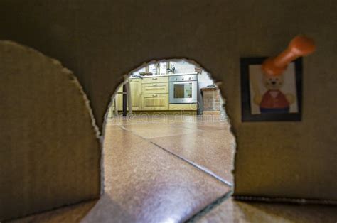 Inside The Hole Mouse At Home Stock Image Image Of Enter Fantasy