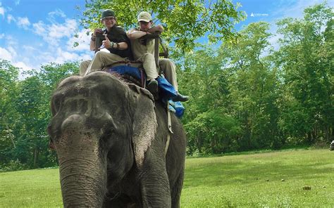 nepal wildlife safari   lumbini visit access nepal