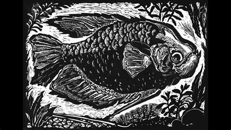 до каких размеров может дорости речная рыба? - YouTube