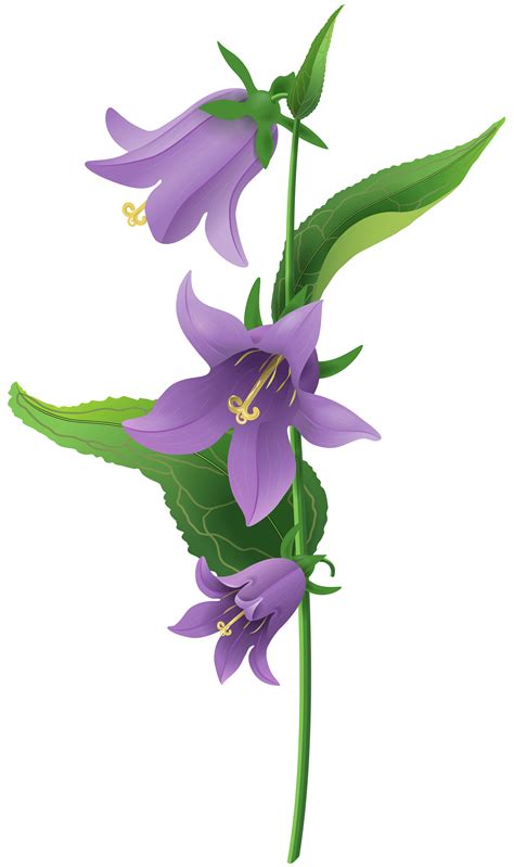 Bell flower clipart 18 free Cliparts | Download images on Clipground 2026