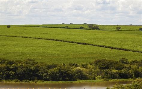 Brasilagro Vende Parte De Fazenda Na Bahia Por R Milh Es