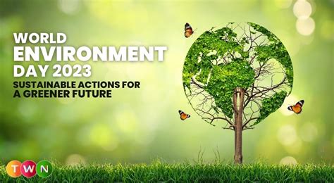 Don't Ignore This: The Anon IB Archive and the Future of Sustainable Living – Act Now! - kwd5gmg