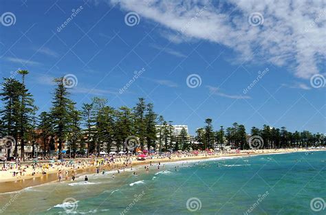 manly beach stock photo image  marine scenic manly
