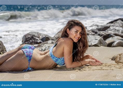 Lovely Brunette Bikini Model Relaxing On The Shoreline At The Beach Stock Photo Image Of