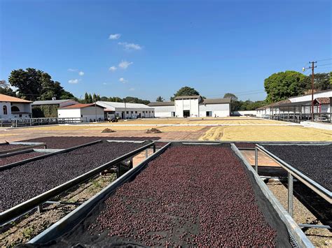 Christmas Special - La Projecta El Salvador - Blog