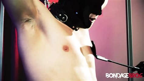 Carter Collins Gay Porn Videos Porn Star Sex Scenes XHamster