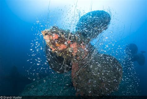 Bikini Atoll Marshall Islands Pictures