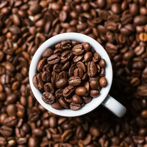 roasted coffee essential spices