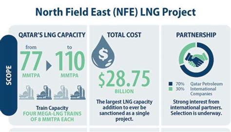 Nfe Project Has Unique Positive Environmental Proposition Gulf Times