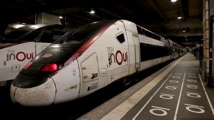 Chat Cras Par Un Train Gare Montparnasse La Sncf Relax E En Appel