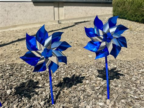 Washoe County | Washoe Life