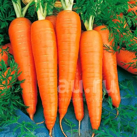 Морковь — купить в Красноярске. Овощи, фрукты, зелень на интернет ...