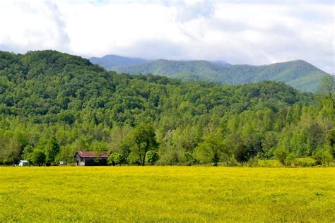 Feeling Hungry? Visit One of these 3 Unique Restaurants in Wears Valley ...