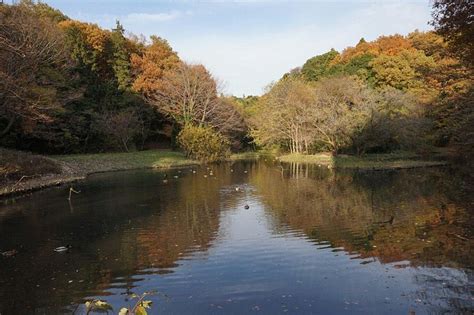 Zama, Japan: Tourismus in Zama - Tripadvisor
