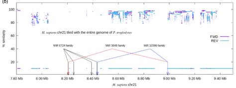 Witnessing The Birth Of Human Specific Genes The Human Evolution Blog