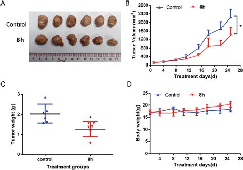 In Vivo Antitumor Effect Of Compound H In Capan Xenograft Model H