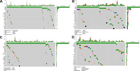 Oncoplots Of The Most Frequently Mutated Genes In Different Ptc Stages