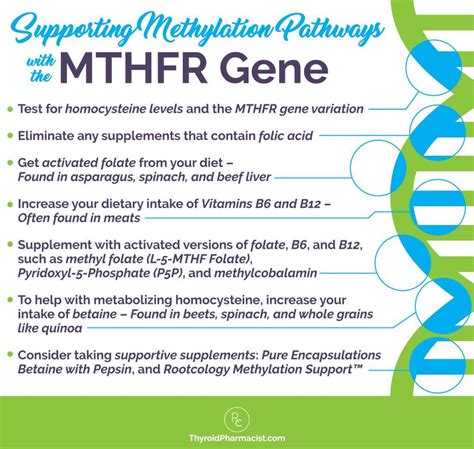 MTHFR, Hashimoto's, and Nutrients - Dr. Izabella Wentz | Mthfr, Mthfr ...