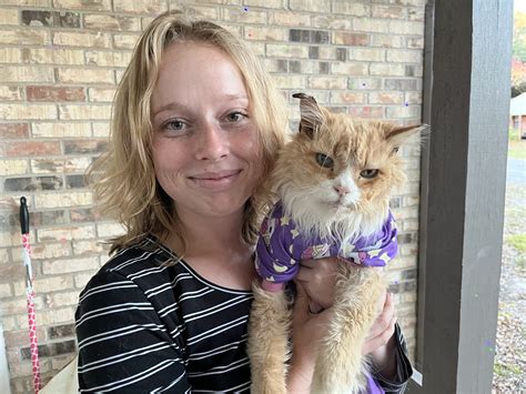 Basically a Disney movie – Niceville family reunited with missing cat