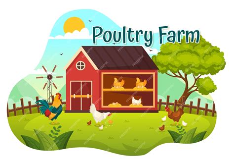 premium vector poultry farm vector illustration  chickens  egg