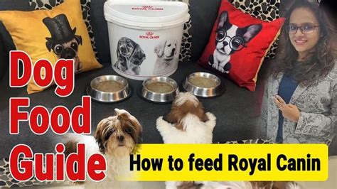 royal canin how much to feed dog