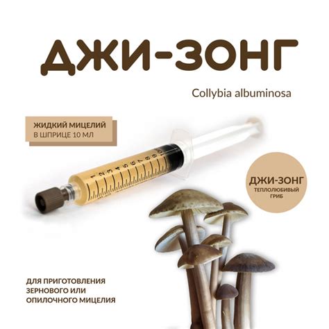 Жидкий мицелий Ксерулы "Джи-Зонг" - купить по выгодным ценам в интернет ...