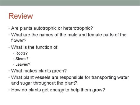 Review Are plants autotrophic or heterotrophic What are