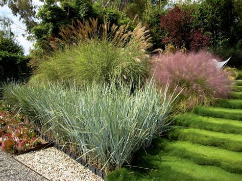 Виды Овсяницы Фото И Названия – Telegraph