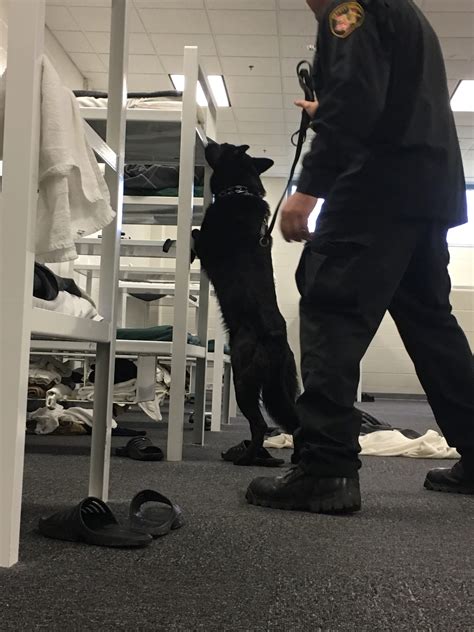 Clermont County Inmate Search and Jail Records 4