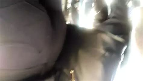 Random Stranger Rubbing Pussy Under Skirt In The Bus Amateur Porn By Faphouse Xhamster