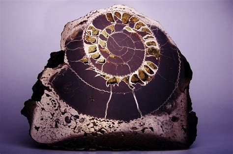 Симбирцит ульяновск камень (91 фото)