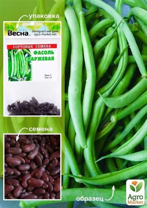 Квасоля спаржева "Зелена" (Зипер) ТМ "Весна" 5г купити поштою в Одесі ...