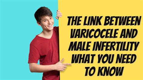 The Link Between Varicocele And Male Infertility What You Need To Know