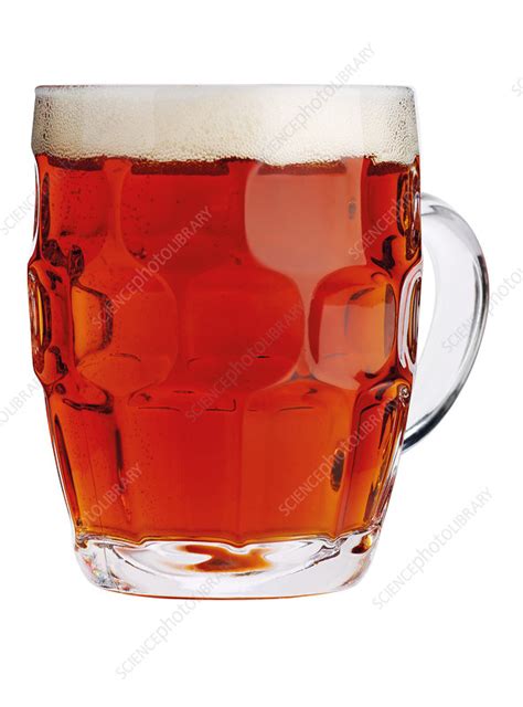 Bitter - Stock Image - C053/4068 - Science Photo Library