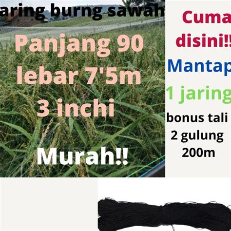 Jual Grosir Khusus JARING BURUNG PIPIT SAWAH Jaring Pelindung Padi