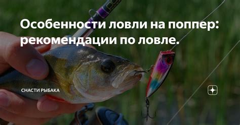 Особенности ловли на поппер: рекомендации по ловле. | Снасти Рыбака | Дзен