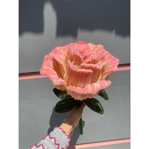 Jual Giant Rose Pipe Cleaner Kawat Bulu Shopee Indonesia