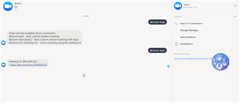 Using the Workplace Bot in zoom App