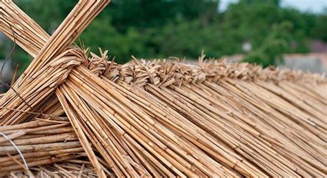 Крыша из камыша (кровля) — монтаж камышовой крыши от ROOFREED