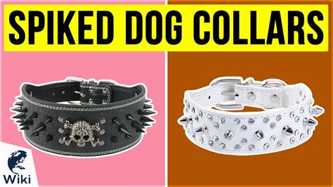 What Is The Purpose Of A Spiked Dog Collar