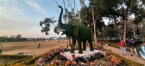 elephant park  photo  pixabay pixabay