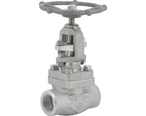 Stainless Steel F316 Globe Valve 453 TRIM 10 800 Lbs NPT Syveco