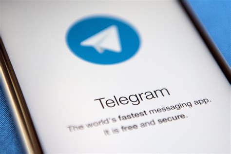 Telegram: Online for Putin, Offline for Bolsonaro - Newsweek