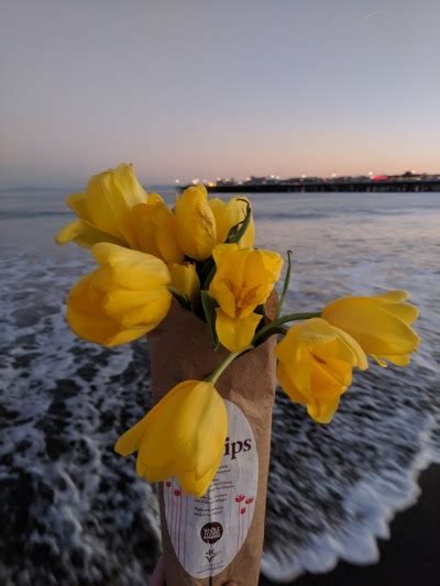 I Brought Some Tulips To The Beach💛💛💛 Tumbex