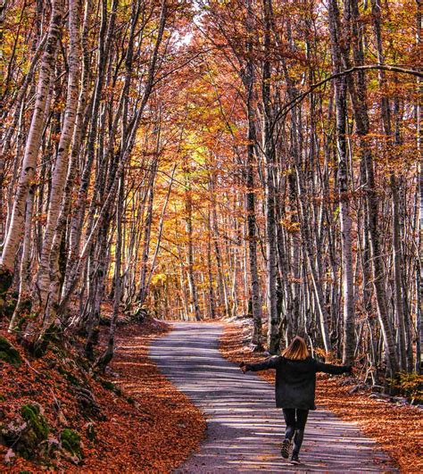 Hiking in Montenegro: 11 Best Hikes For Different Seasons