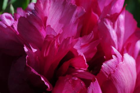 Hir 9918 1 by Gairm on DeviantArt