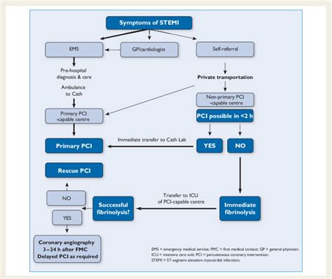 Organization Of St Segment Elevation Myocardial Infarction Patient Download Scientific Diagram