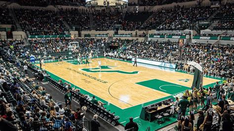 USF Women's Basketball breaks attendance record - That's So Tampa