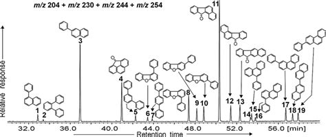 Summed Mass Chromatogram For Mz 204 230 244 254 Showing The Download Scientific Diagram